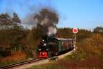 Eine der Paradestellen der Stainzer Lokalbahn ist wohl das  Distanzsignal! bei Wohlsdorf.