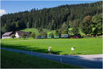 DR 99 568 der Pressnitztalbahn zu Gast auf der Ybbstalbahn Bergstrecke (ÖGLB) bei Pfaffenschlag, 10.