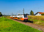 Neudorf ob Wildon. Am 26.09.2023 passiert hier der ÖBB 4744 533 Neudorf nach Spielfeld.