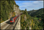 Bergwärts in Richtung Semmering zieht die 1116.224 ihren Railjet über zahlreiche Viadukte.