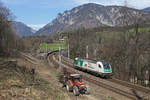 STB 183.717 fährt als Prob-LZ beim frisch ausgeschnittenen Schwarzatal-Viadukt,während der Traktor die gefällten Bäume abtransportiert.