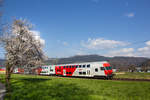 86 33 004-1 als S-Bahn bei Schwarzach, Vorarlberg.