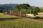 Cargoserv ES 64 U2-081 konnte am Abend des 08.08.2020 auf der alten Westbahnstrecke am südlichen Donauufer zwischen Pöchlarn und Ybbs/Donau bei Krummnussbaum fotografisch festgehalten