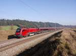 Eine doppelte Railjet-Garnitur mit der fhrenden 1116 202 am 13.11.2011 mit RJ 162 von Wien Westbahnhof nach Zrich zwischen Frankenmarkt und Pndorf.