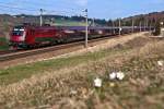 railjet und Frhlingsboten: 1116 204 an der Spitze dieses  railjet  Richtung Westen.