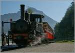 Dampfendes (Gegen)-Licht- und Schattenspiel mit der Achenseebahn Lok N 3  Georg  an der Endstation Seespitz am 16.