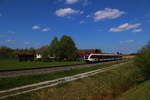 Die wieder-Begrünung nach den Bauarbeiten zur Koralmbahn verspricht viel  Grünzeug    Hier bei Gussendorf auf dem Erdwall zwischen GKB und ÖBB bildet sich für meinen Geschmack ein