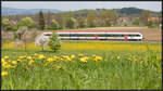 Frühling in der Südweststeiermark. 
An diesem 29.April 2022 rollt ein GTW 2/8 durch Freidorf im Sulmtal.