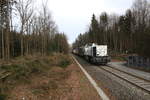 In der Haltestelle Hollenegg wird derzeit eine neue  Fotostelle  frei     Auf fast 700 Metern wird der Wald aus Sicherheitsgründen zurückgeschlagen.