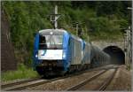 Adria Transport 1216 920 und LTE 1216 910 fahren mit Kerosinzug 48431 von Schwechat nach Koper.