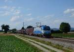 1216 920 mit einem KLV am 11.08.2013 bei Langenisarhofen.