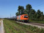 Die 1216 902 mit einem Kesselzug am 16.09.2012 unterwegs bei Langenisarhofen.