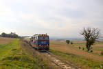 Die 2143.062 hat mit ihrem Erlebniszugh nach Ernstbrunn eben den Mollmannsdorferberger erklommen und fährt Hetzmannsdorf entgegeben.