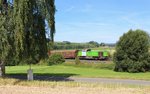 V 1700-0 (277 004-8) SETG zu sehen am 23.08.16 mit einem Holzzug in Lengenfeld. 