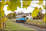 Gelb Grünes Weinlaub frischt den düsteren Vormittag des 23.10.2021 etwas auf . 
Fotosonderzug auf der Gleichenbergerbahn 