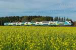 Westbahn nochmal am 17.10.2022 zwischen Badham und Eglharting in voller länge.