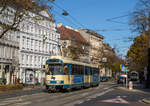 Wien  WLB TW 123 nach Wiener Neudorf, Mayerhofgasse, 06.11.2021.