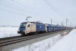 WLB 183 704 am 27.01.2013 mit einem Autozug  bei Marchtrenk.