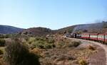 Beyer-Garratt-Lokomotiven der South African Railways: Nach der Überwindung des Montagu-Passes rollt die GMAM mit dem Personenzug von Kapstadt nach Port Elizabeth im November 1976 nach Oudshoorn hinab. Der Zaun gehört zu einer der zahlreichen Straußenfarmen entlang der Strecke. Leider wollte sich keines der Viecher gemeinsam mit dem Zug ablichten lassen.