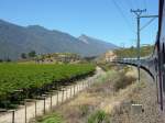 Am 19.11.2014 schlängelt sich der Shosholoza Meyl in der Nähe von Worcester durch die Weinanbaugebiete des Western Cape.