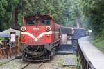 DL43 mit Zug 111 nach Alishan Station am 04.Juni 2014 in der Sacred Tree Station.