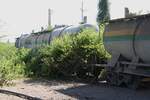 Auf den nur mehr gelegentlich vorhandenen Gleisresten der ehemaligen, rund 4,5 Km langen Anschlussbahn von der Cha Am Station ins Zementwerk der Asia Cement Public Co.,Ltd. (bis 2003 Jalaprathan Cement Co., Ltd.) wurden unter der im Zuge des 2 gleisigen Ausbau der Southern Line errichteten Bahnüberführungsbrücke drei บ.ซ.ล. (บ.ซ.ล. =B.C.P./Bogie Cement Pressure Discharge Wagon)  vergessen . Die Wagen haben keine Betriebsnummern, jedoch das Logo der Jalaprathan Cement Co., Ltd. - Bild vom 09.Dezember 2023.