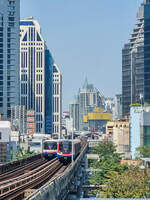 Bangkok BTS Skytrain zwei Züge der Sukhumvit Line kurz vor bzw. hinter der Station Chit Lom, 21.02.2023.