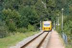 CD 814 227-5 fährt am 24.August 2019 als Os 14911 (Zd'ar nad Sazavou - Tisnov) in die Haltestelle Borac ein.