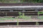 Scheinbar blieb nach dem Unterschottern des Bahnsteiges kein Schotter mehr für das Gleis über (:-); Bahnhof Namest nad Oslavou am 24.August 2019.