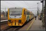 814 206 in Hodolin am 25.02.2019.