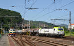 193 893 der Captrain erreicht am 12.06.19 mit einem Kesselwagenzug aus Richtung Bad Schandau kommend den Bahnhof Decin.