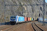 388 013 erreicht mit einem schwach ausgelastetem Containerzug am 01.04.25 Usti n.L..