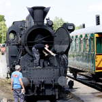 Šumavské léto s párou 2025 na Volarsku Železniční trať České Budějovice – Černý Kříž  Strecke 194, natürlich