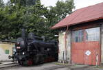 Festival parních lokomotiv v Benešově 2025 .Lok 434 2186 wartet hinter dem Schuppen auf den nächsten Einsatz, das BW von Benesov ist relativ klein, zum Festival wurden viele Loktypen gezeigt und es waren zahlreiche Sonderzüge unterwegs, so das auch mal eine Lok etwas versteckt abgestellt werden musste. 27.09.2025  10:03 Uhr.