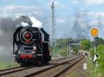 Die tschechische Dampflok 475.179 auf der Dampflokparade in Wolsztyn, 3.5.2014