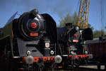 475 179 und 556 0506 bei der Bekohlung, leider ist 475 etwas abgeschnitten...., da hat der Fotgraf geschlampert.