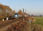 731 013-9 hier mit einer Übergabe bei der Einfahrt in Tršnice am 03.11.15.