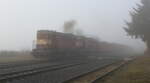 Am 18.12.2025 war es bei der Verfolgung der Übergabe nach Bochov ein Spiel zwischen Hochnebel, Sonne oder frostigen Ecken. In Stedra konnte der Mn 87013 mit dem 742 Transistorpärchen nur im dichten Nebel aufgenommen werden. 