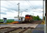 CD Cargo 742 419-5 in Zughaltestelle Olesko am 5. 6. 2026