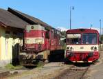742 421-1 und 810 073-7 zu sehen am 31.05.21 in Blatno u Jesenice.
