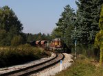 Die 743 004 und die 743 009 mit einem Schotterzug am 27.09.2016 unterwegs bei Zlatá Koruna.