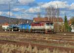 749 019 + 749 018 am 03.04.2015 in Furth im Wald.