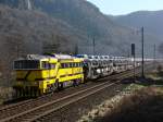 Viamont 750 059-8 nach Bad Schandau Ost