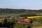 750 308 und 750 277 am Pn 10700 von Turnov - Libuň bei Kněžnice 14.05.2016