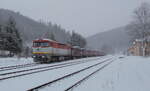 kräftiger Schneefall herrschte am 11.3.2023 in Rotava nahe Kraslice als die ZSSK 751 109 mit leeren Eas auf weitere Aufgaben wartete.