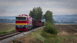 Fotogüterzug mit T 478 3101 - Lišany 29.08.21