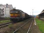 753 073-6 mit Gterzug auf Bahnhof Liberec am 13-7-2007.