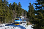 754 006 mit R 778 am 29.01.2017 bei Zelezna Ruda.