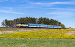 754 018 mit dem R 656 (Brno hl.n. - Ceske Budejovice) bei Smrk na Moravě 3.5.26
