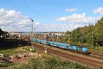 771 182-3 war am 17.09.26 beim rangieren in Cheb zu sehen.